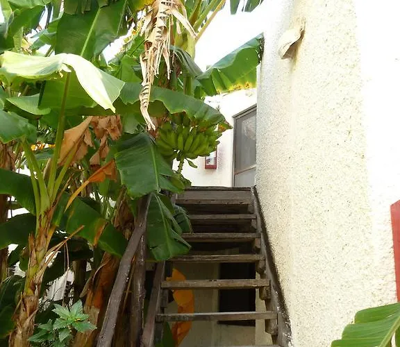Rancho Sakol Puerto Morelos